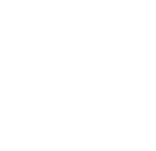 Zest and Zinc Logo